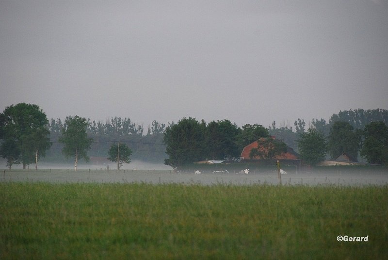 Vroege morgen in de Achterhoek.JPG - Vroege morgen in de Achterhoek.